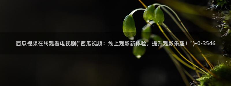 大西瓜影院让你感受新时代