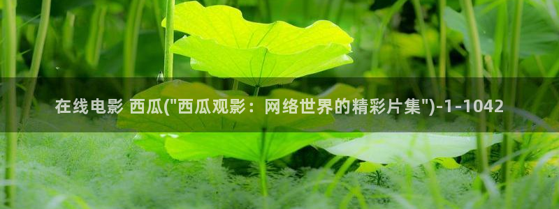 西瓜免费影视剧