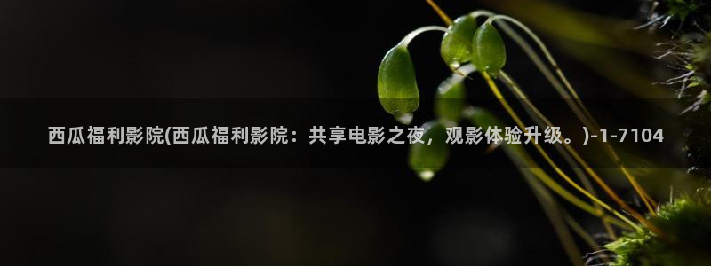 西瓜影院手机版免费观看