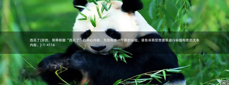 飘雪电影在线观看西瓜影院