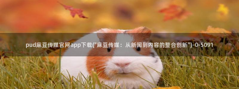 麻豆视频版权说明