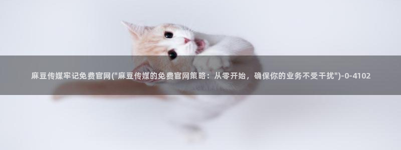 麻豆视频演员文案