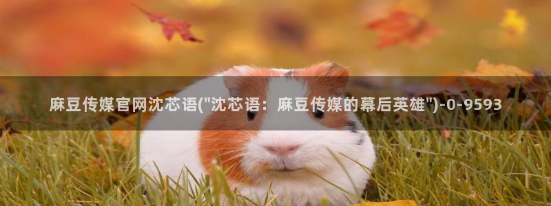 麻豆新人演员