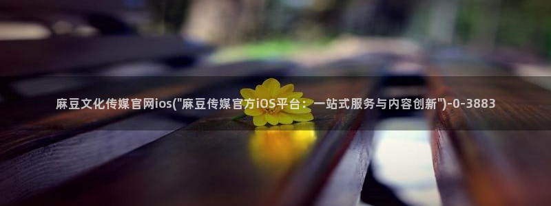 麻豆资源站模板