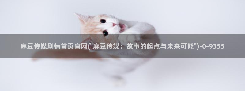 麻豆描述库