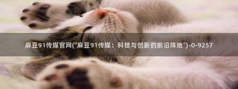 麻豆视频在线