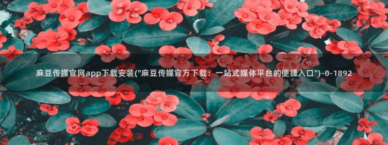 麻豆视频泛目录词