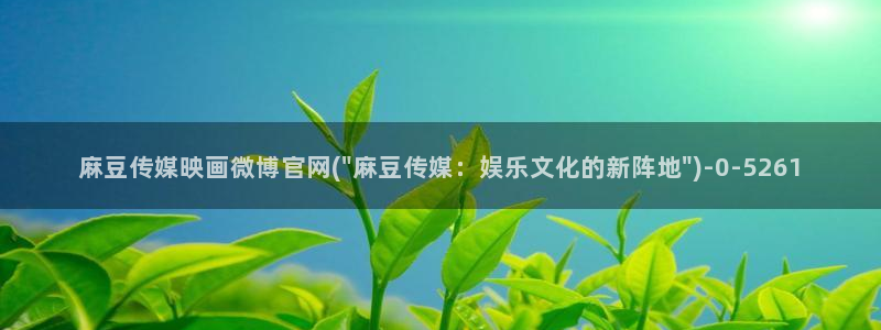 麻豆视频收藏
