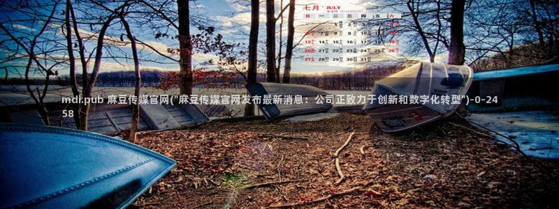 麻豆视频盘点