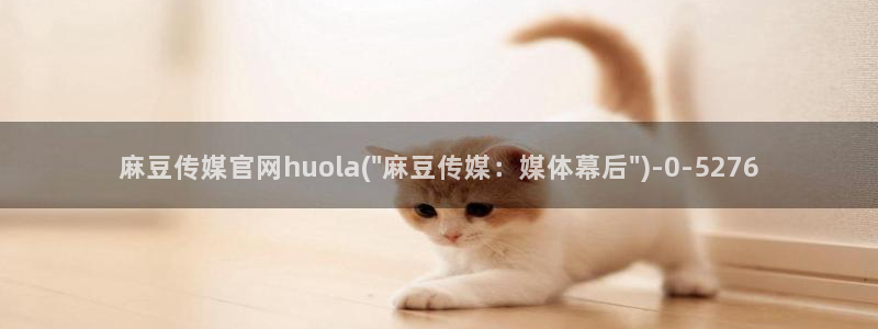 麻豆传媒
