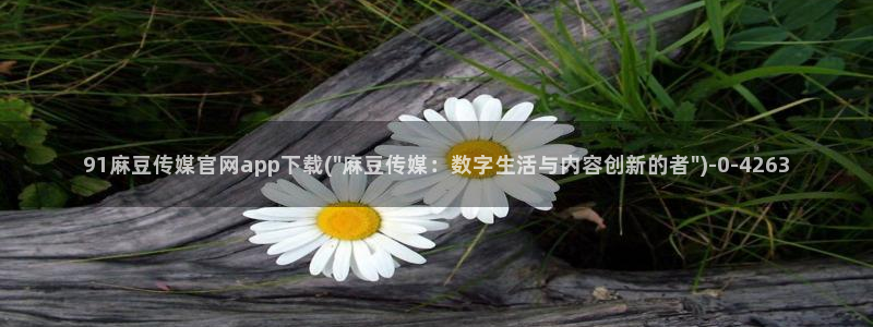麻豆视频自然标题