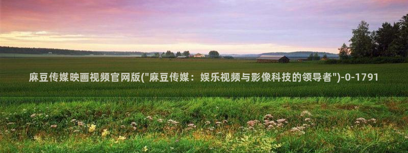 麻豆视频自动更新