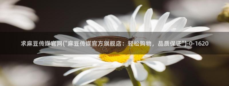 麻豆影视合集