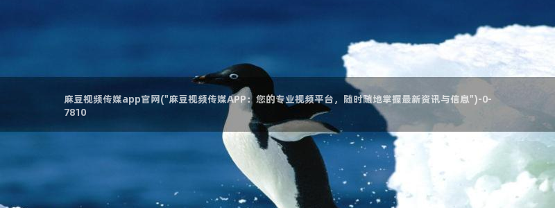 麻豆视频标签规划