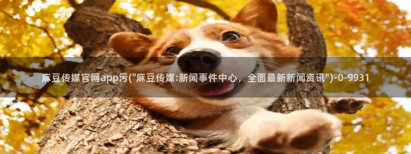 麻豆视频导航