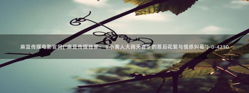 麻豆专题整理