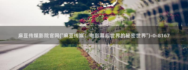 麻豆指南页
