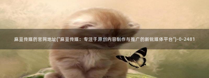 麻豆人物关系