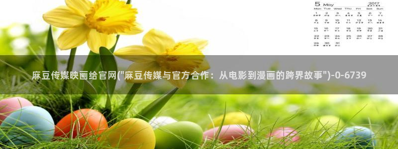 麻豆视频点评