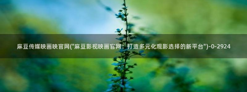 麻豆精选视频