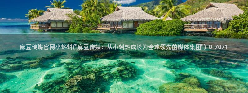 麻豆视频热门内容
