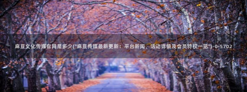 麻豆视频优质内容