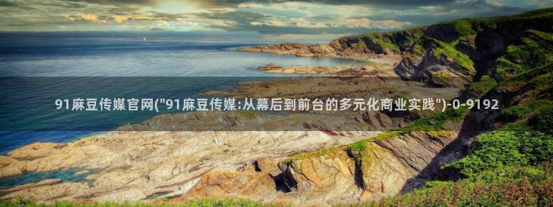 麻豆视频页面描述