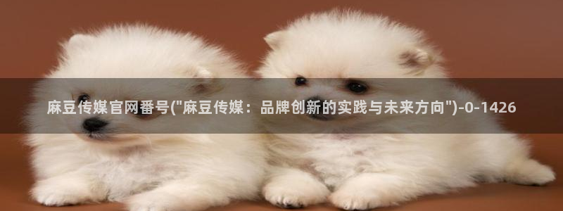 麻豆传媒