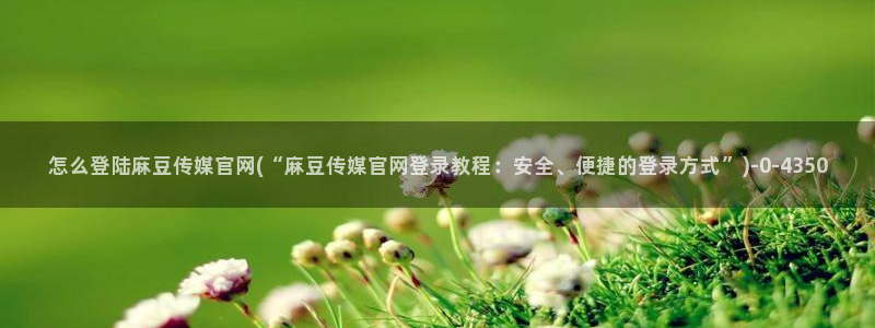 麻豆视频分类